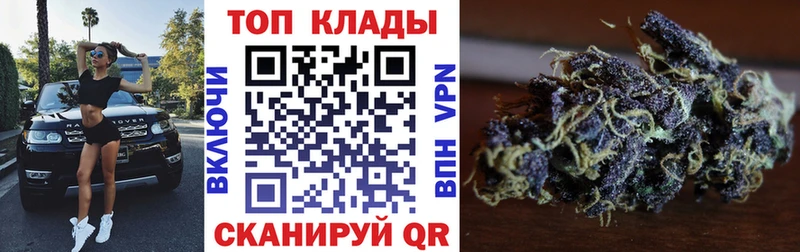 Купить наркоту Подпорожье Псилоцибиновые грибы  Бошки Шишки  A-PVP  Меф  Cocaine  ГАШИШ 