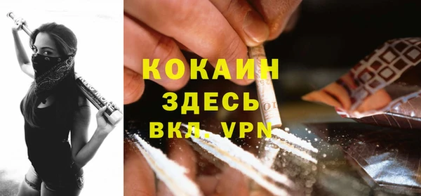 тгк Абаза