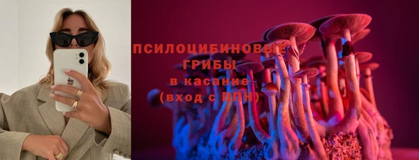 крисы Абдулино