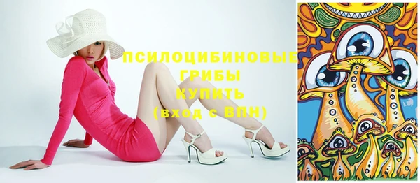 крисы Абдулино