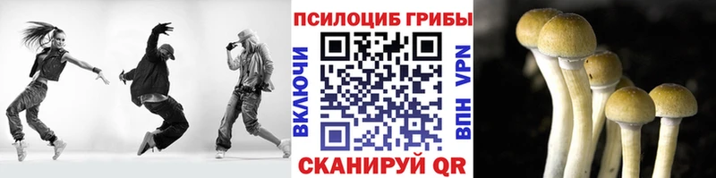 Псилоцибиновые грибы Psilocybe Подпорожье